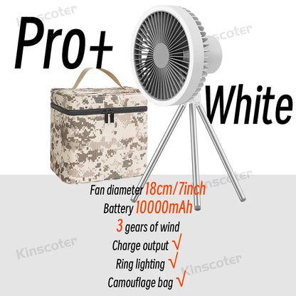 Portable 2-in-1 Fan & Led Light