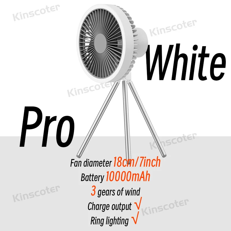 Portable 2-in-1 Fan & Led Light